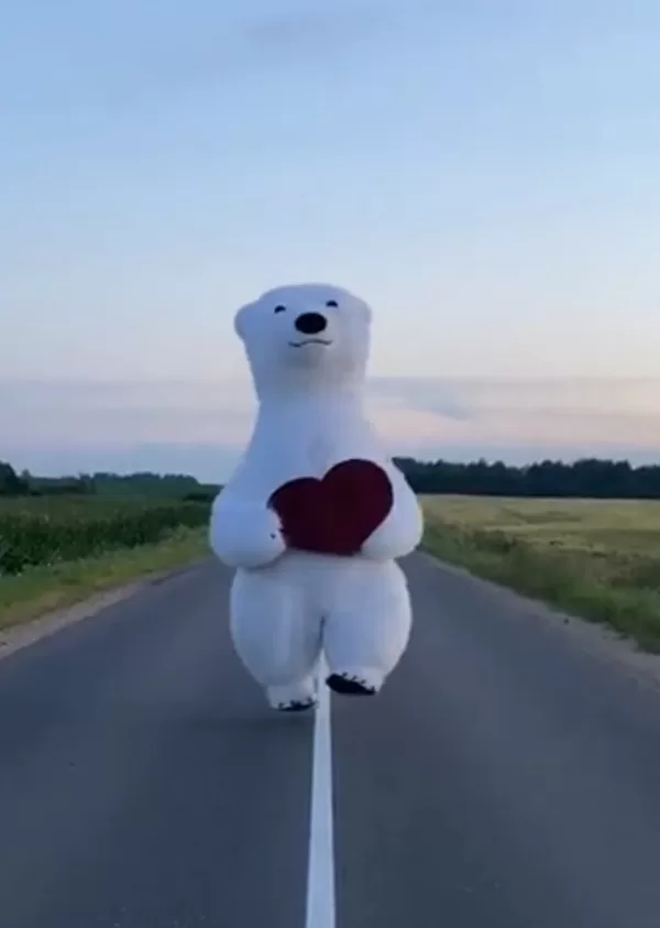 Meškio peškio pasveikinimai